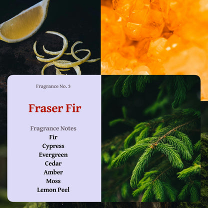 RUTH & ROSE Fraser Fir Scented Candle, 100% Beeswax Candle for Home, 8oz, +65 Hours Burn Time, Aromatherapy Non Toxic Candles, Gift for Women & Men, Made in USA, Perfect for Travel or Gifting