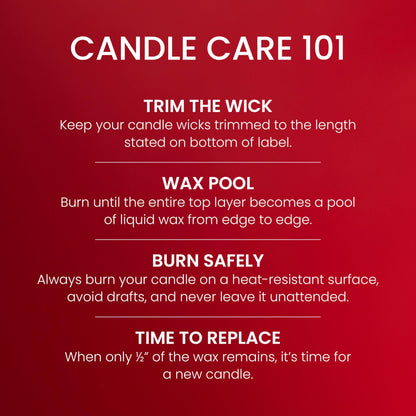 Yankee Candle Large Tumbler Scented Candle with up to 80 Hour Burn Time, Premium Plant Wax Blend for Consistent Burn, 20 oz Tumbler Candle with Room Filling Fragrance, Cherries on Snow