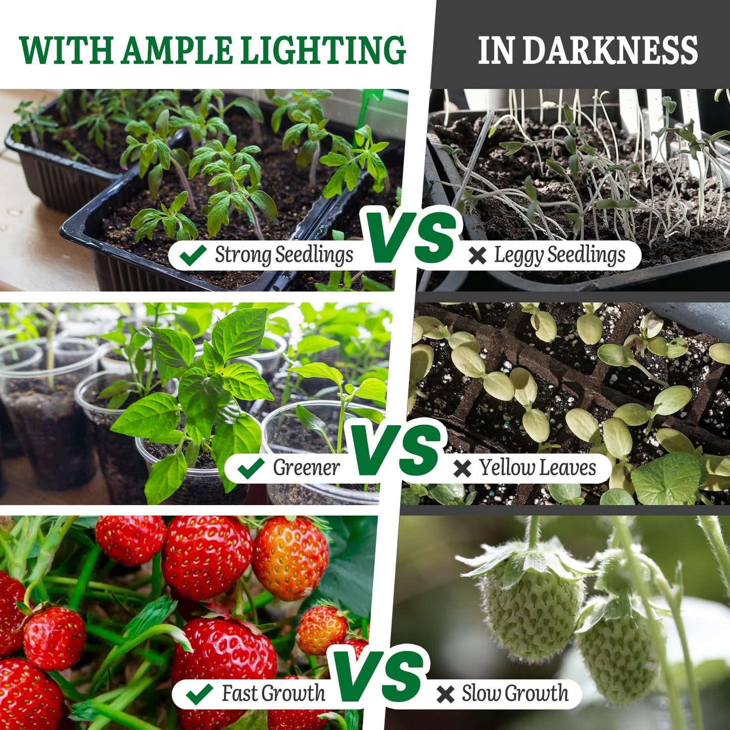 SOLIGT Grow Lights for Seed Starting, 2FT LED Full Spectrum Seedling Grow Lights with 4 Brightness & 8/12/18H On Timer, Adjustable Height Stand for Indoor Plants, Seedlings, Herbs & Vegetables