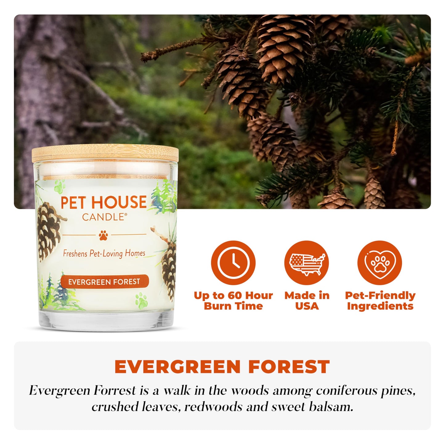 Pet House Pet Odor Candle Plant Based Scented Candle Clean Burning, Long Lasting for Home, Evergreen Forest