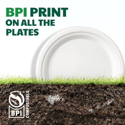 Joyborn 100% Compostable Paper Plates, 6 Inch, 125 Count, Heavy Duty Disposable Plates by Biodegradable Bagasse, Dessert Plates Bulk for Party | Microwave-Safe | Soak-Resistant, Cut Resistant