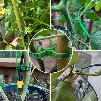 Skiennix 600 Pcs Tomato Clips - Heavy-Duty Plastic Vine Support for Healthy Climbing Plants