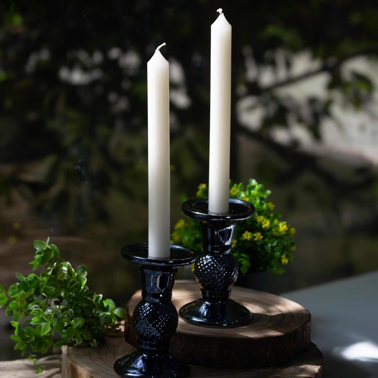 Estrella Blanca Ivory Dinner Candles – Elegant 10-Inch Taper Candles, Long-Lasting Unscented Wax, Dripless, Set of 8, Perfect for Dinner Parties, Events, and Home Décor