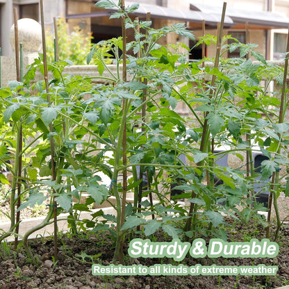 Bamboo Stakes - Eco-Friendly Plant Support Poles for Tomatoes, Beans & Flowers | 50-Pack, 4.8FT Height