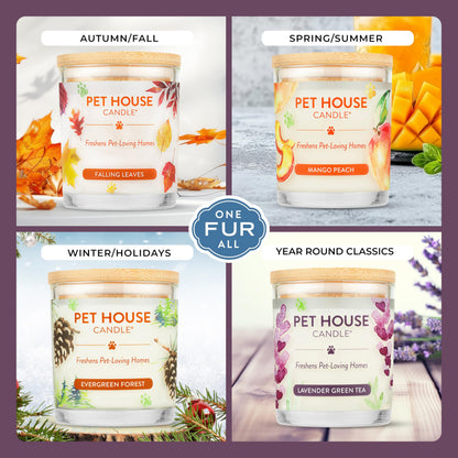 Pet House Lavender Candle Clean Burning, Long Lasting Pet Odor Candle for Home - Lavender Green Tea