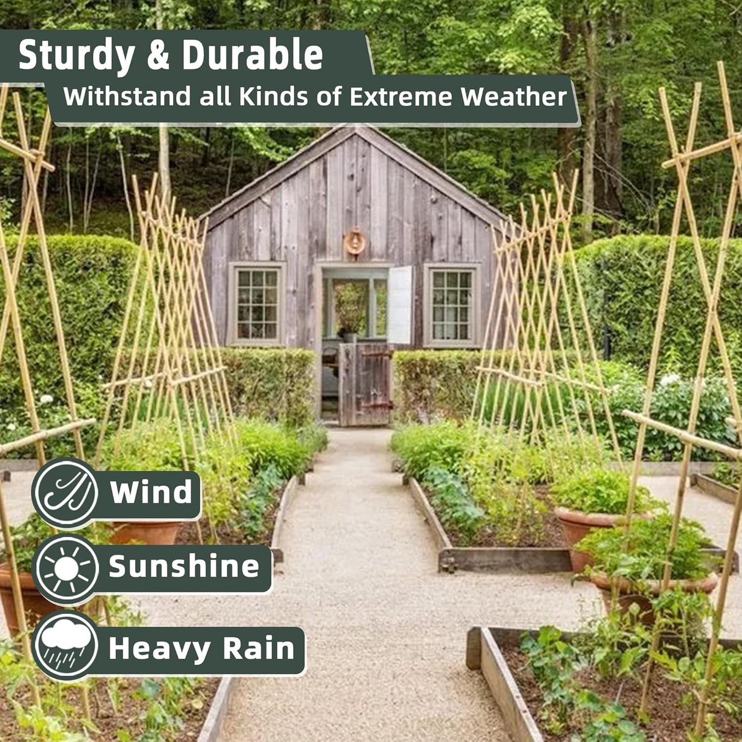 Bamboo Plant Stakes - 50 Pcs 2ft Garden Support Sticks for Indoor/Outdoor Plants | Ideal for Tomatoes & Climbing Plants