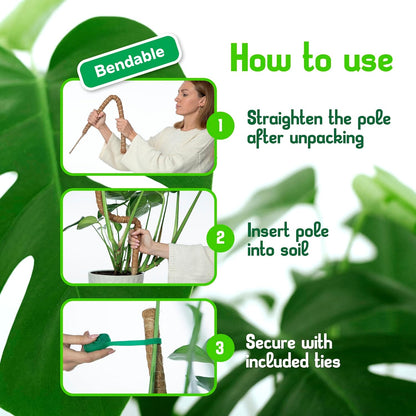 Monstera Plant Support Stakes - 28" Sturdy Moss Poles for Indoor Climbing Plants | 2 Pack
