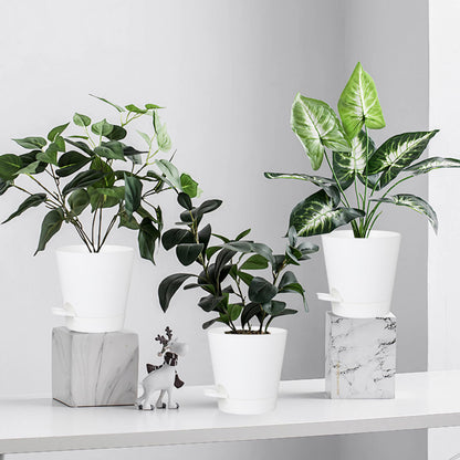 zople 5 Pack 5 inch Self-Watering Pots, African Violets Planter with Drainage Holes and Reservoir, White Plastic Planter for Indoor Outdoor Plants Flowers and Houseplants White, 5 inch 5 pcs