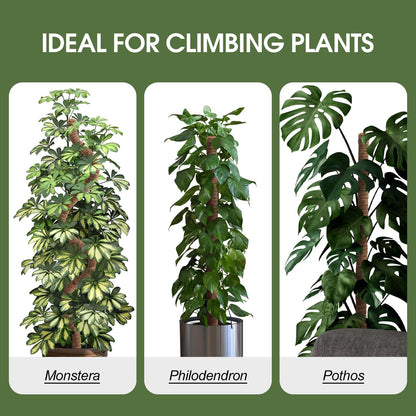 2 Pack Moss Pole, 63 Inch Bendable Moss Poles for Plants Monstera Long for Climbing Plants, Extra Large Handmade Pole Plant Sticks Support Stakes for Indoor Plants to Grow Upwards