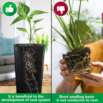 RunNico 50pcs Plastic Deep Plant Nursery Pots,11.8”Tall Tree Pots,Black Deep Seedling Container Pots with Drainage Holes for Indoor Outdoor Gardening (3.9" Wx11.8 H)