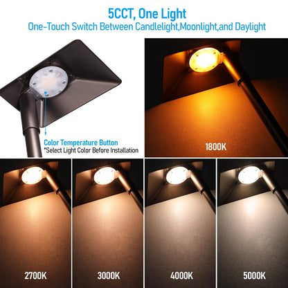 LEONLITE 12-Pack 5CCT Anti-Glare Low Voltage Pathway Lights, 5W Wired LED Landscape Path Lights, Aluminum IP65 Outdoor Landscape Lighting for Walkway Yard, 1800K/2700K/3000K/4000K/5000K, ETL