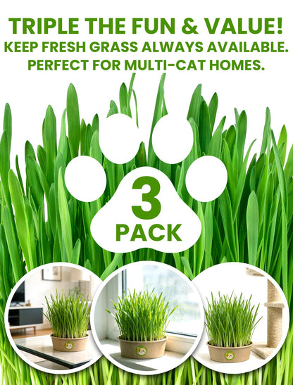 Cat Grass Kit for Indoor Cats, 3 Pack Fast Growing Cat Grass Kit with Eco-Friendly Biodegradable Pots, Soil & Wheatgrass Seeds, Grows in 3-7 Days with High Germination Rate