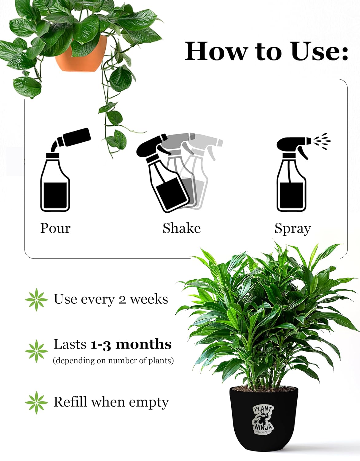 Plant & Leaf Spray - Non-Toxic Leaf Shine & Protector | Eco-Friendly Formula for Indoor Plants | Handcrafted, Women-Owned