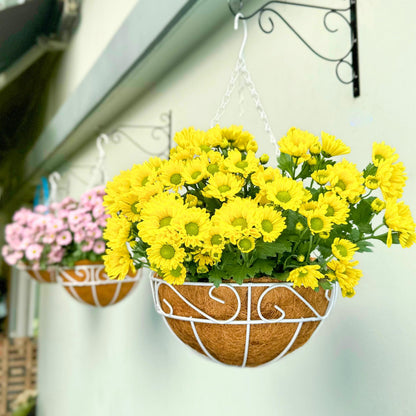 LaLaGreen Hanging Planter for Outdoor Plants (2 Pack, 12 Inch) White Hanging Baskets with Coco Liner, Metal Wire Flower Basket Pots with Hook Hanger Balcony Porch Farmhouse Country Style Garden Decor