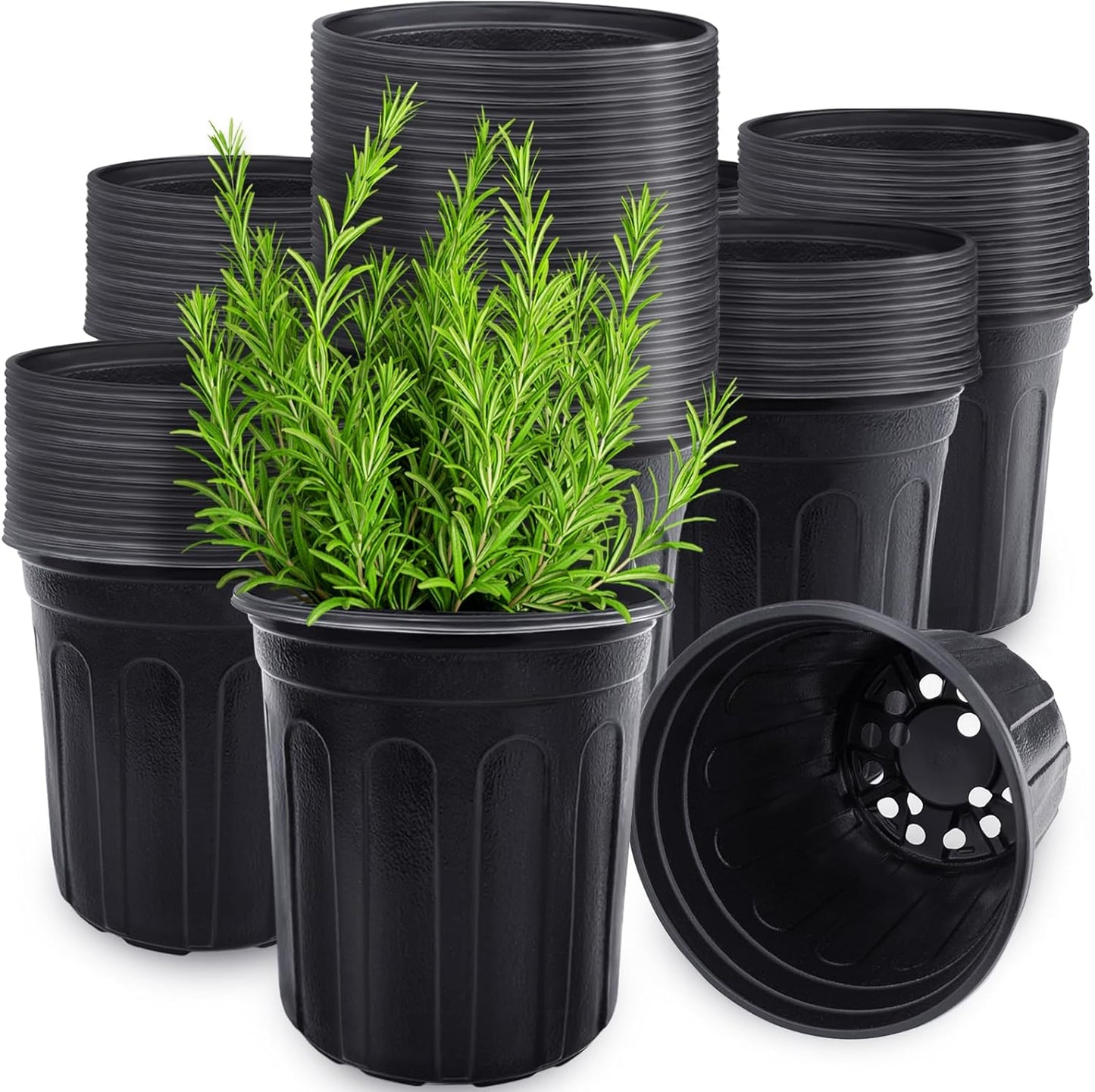 Anyumocz 60 Pcs Flexible 1 Gallon Plant Nursery Pots - Durable Soft Plastic with Drainage Holes | Black