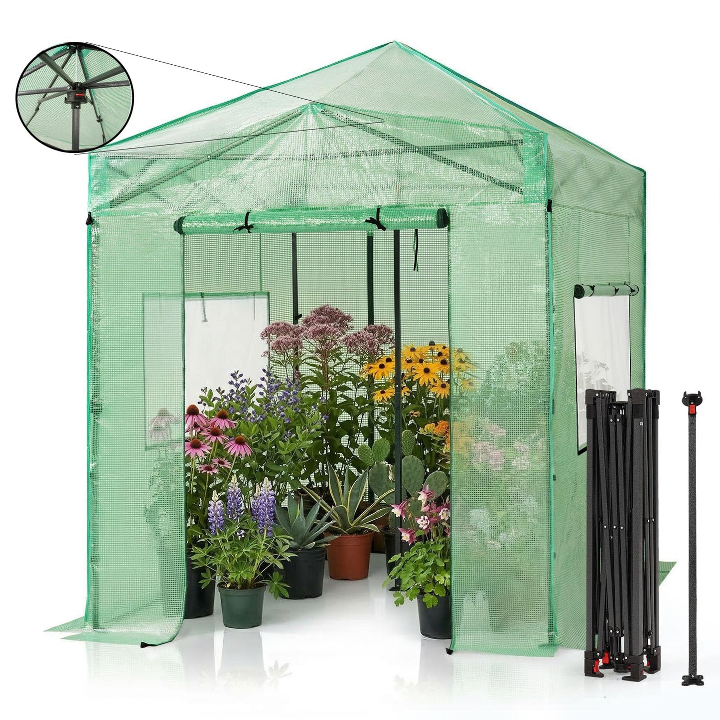 CROWN SHADES 8x6 Walk-in Greenhouse,Pop Up Portable Greenhouse with Center Lock One Push Instant,Outdoor Greenhouse Kit with Roll-Up Door,Mesh Windows&Adjustable Height for Backyard Garden（Green）
