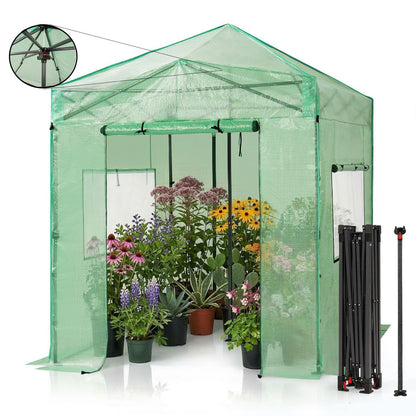 CROWN SHADES 8x6 Walk-in Greenhouse,Pop Up Portable Greenhouse with Center Lock One Push Instant,Outdoor Greenhouse Kit with Roll-Up Door,Mesh Windows&Adjustable Height for Backyard Garden（Green）