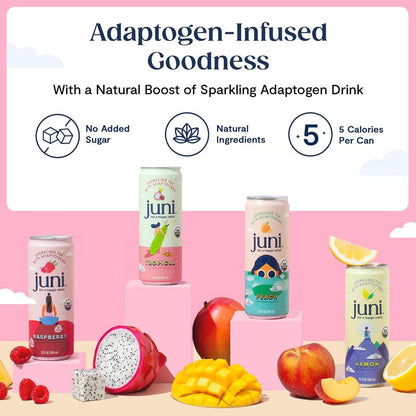 Juni Sparkling Adaptogen Drink with Ashwagandha, Lion’s Mane & Reishi Mushrooms | Green Tea for Focus, Zero Sugar, 5 Calories, Organic | Non Alcoholic Drinks - Variety Pack 12 pack