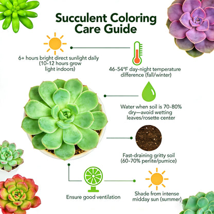 Sprout N Green Ruby Necklace, Othonna capensis L.H.Bailey Live Succulent Rooted in 4" Pot, Purple Hanging Trailing Plant for Home Office Wedding Decoration DIY Project Party Favor, Pet Friendly