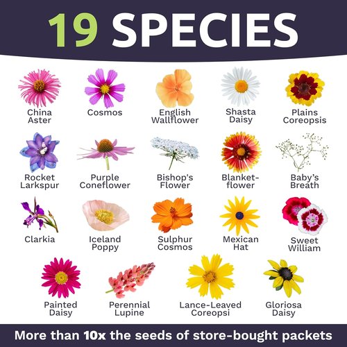 Cut Flower Garden Seeds - Non-GMO Wildflower Seeds in Bulk | 1/4 Pound Bag with 30,000+ Seeds