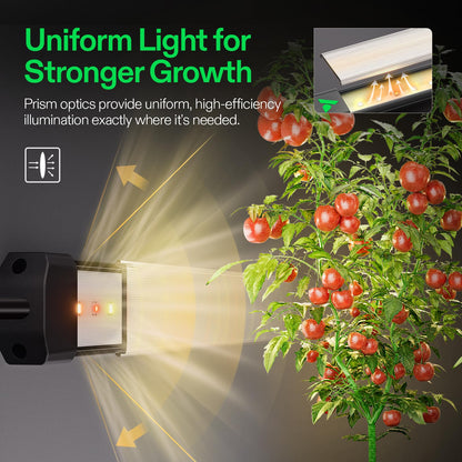 VIVOSUN Lumaray LED Grow Light Bars 16”(8-Bar), Full Spectrum Side Lighting with 60% Red Light up to 25% Yields for Grow Tents, Greenhouses, Magnet Reliability Upgraded, SGS Compatible