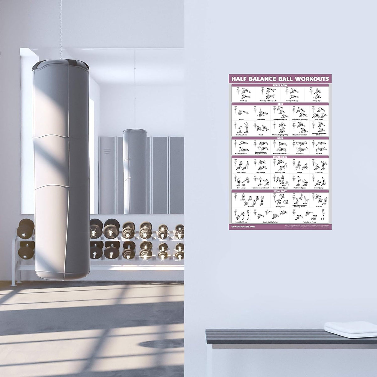 Palace Learning Half Balance Ball Workout Poster - Laminated Exercise Chart (18" x 24")