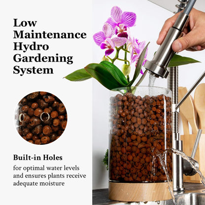 Pot & Pebble - C1 Glass Planter with Wooden Base - Indoor Glass Planter with Water Level Control Holes -Grow Plants in LECA Clay Pebbles/Similar Media - Semi Hydroponic Planter - Plant Cutting Holder