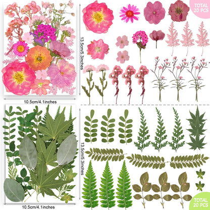 TrendCart 301Pcs Multi-Style Dried Pressed Flowers & Leaves (10 Packs) - Pressed Flower for Crafts, Resin, Nail Art, Candle, Soap, Scrapbooking & Frame Decor