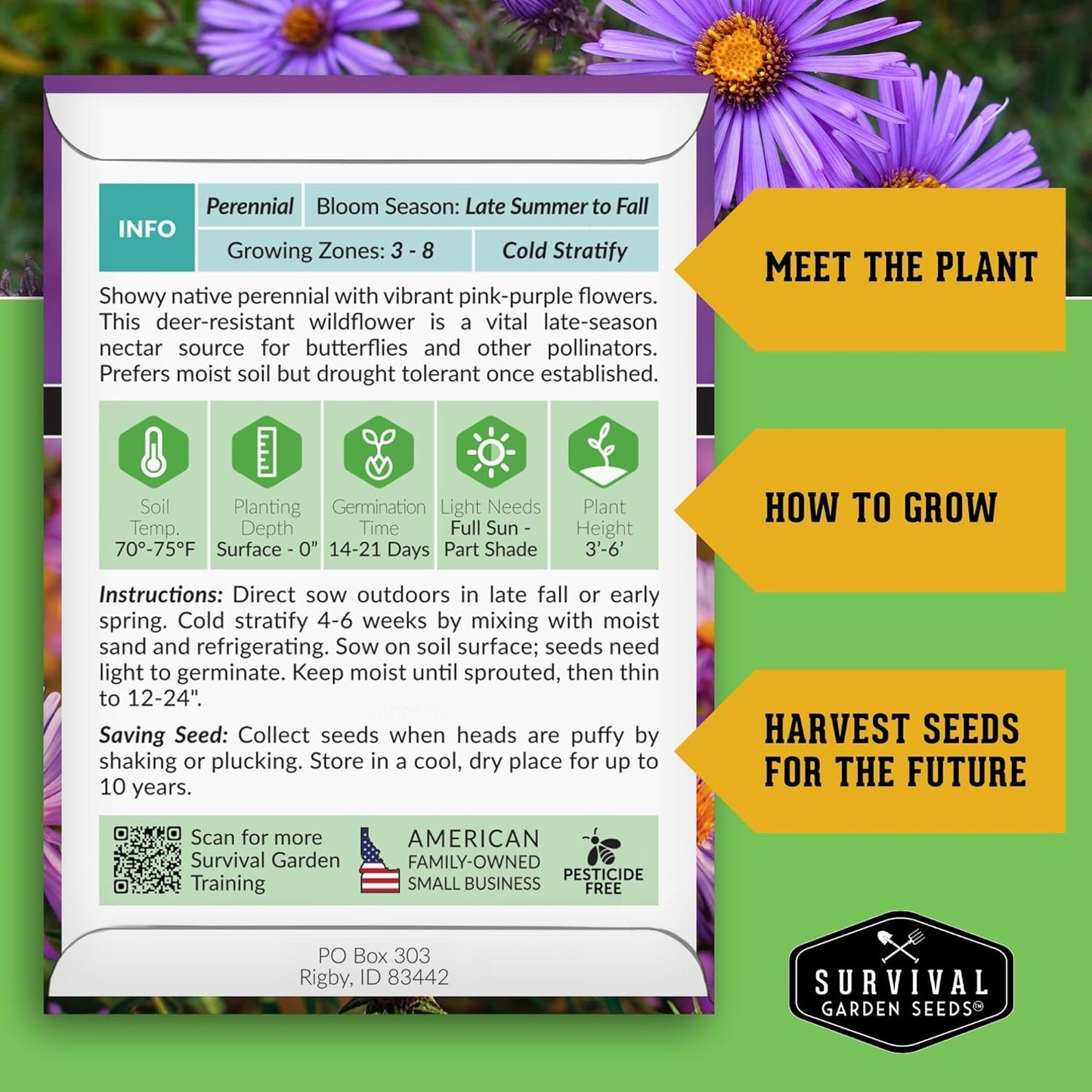 Survival Garden Seeds - New England Aster Seeds | Native Purple Perennial Wildflower | Attract Butterflies | 1 Pack
