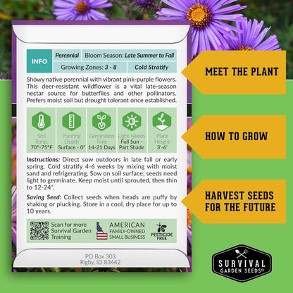 Survival Garden Seeds - New England Aster Seeds | Native Purple Perennial Wildflower | Attract Butterflies | 1 Pack