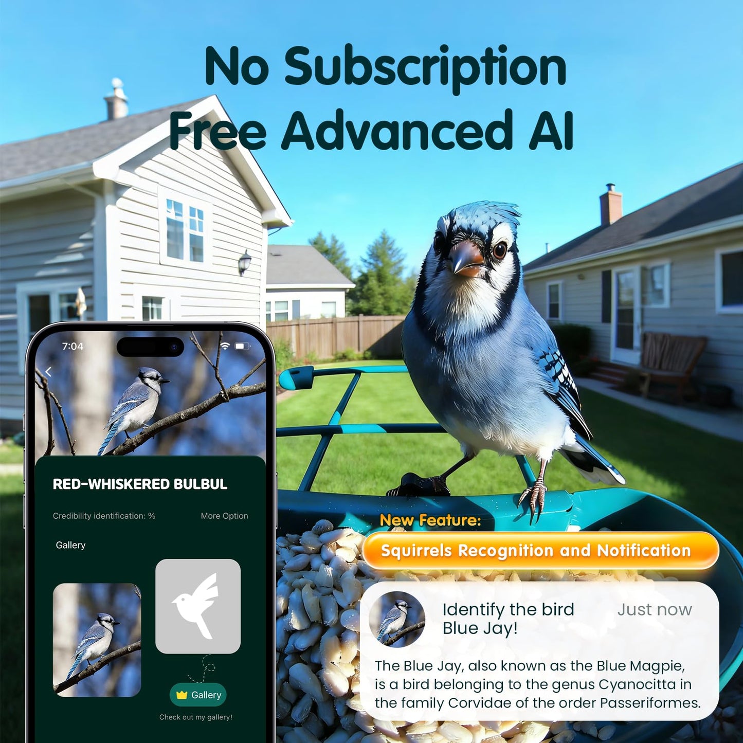 Humbirdy Bird Feeder with Camera, 4K Ultra HD Video with 30fps Live View, 10x Slow Motion, No Subscription, Solar Powered AI Smart Bird Feeder with Camera, 2.4G/5G Wi-Fi, Durable Metal,Bird Lover Gift