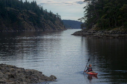 Wilderness Systems Tempest 165 | Sit Inside Touring Kayak | Adjustable Skeg - Phase 3 Air Pro Seating | 16' 6" | Mango