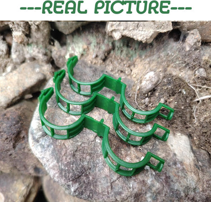 Skiennix Plant Support Clips - 100 Durable Tomato Clips for Trellis & Climbing Plants | Green