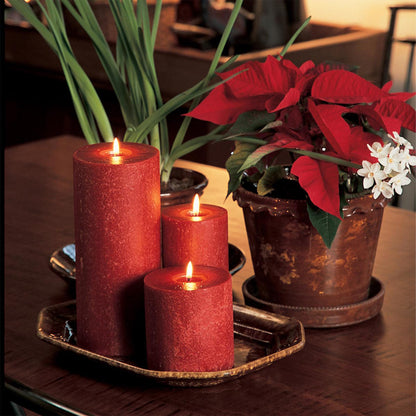 Root Candles Unscented Candles Premium Beeswax Blend Pillar Candle, 4 x 6-Inch, Garnet