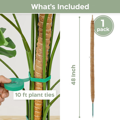 K-Brands 3 Pack Bendable Moss Pole | 48'' Monstera Plant Support for Indoor Climbing Plants