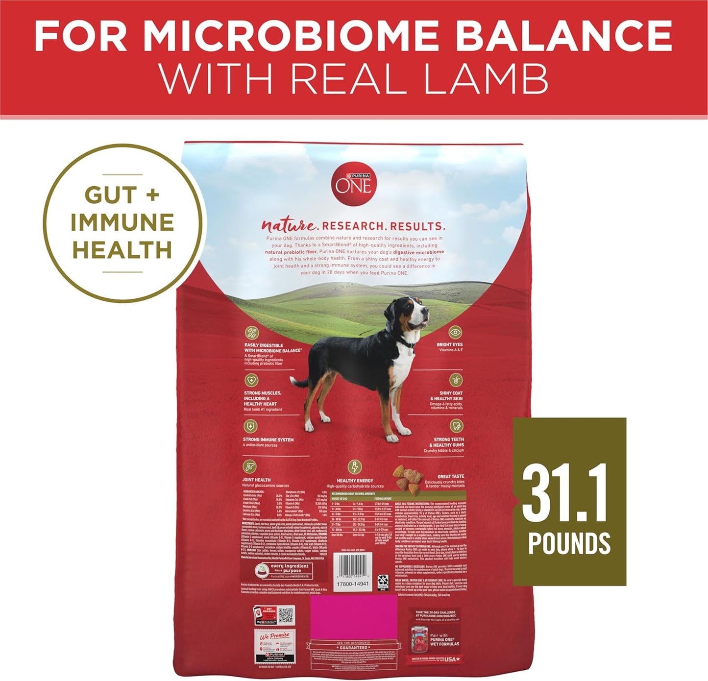 Purina ONE Dry Dog Food - Lamb & Rice Formula for Healthy Skin & Coat | 31.1 lb Bag