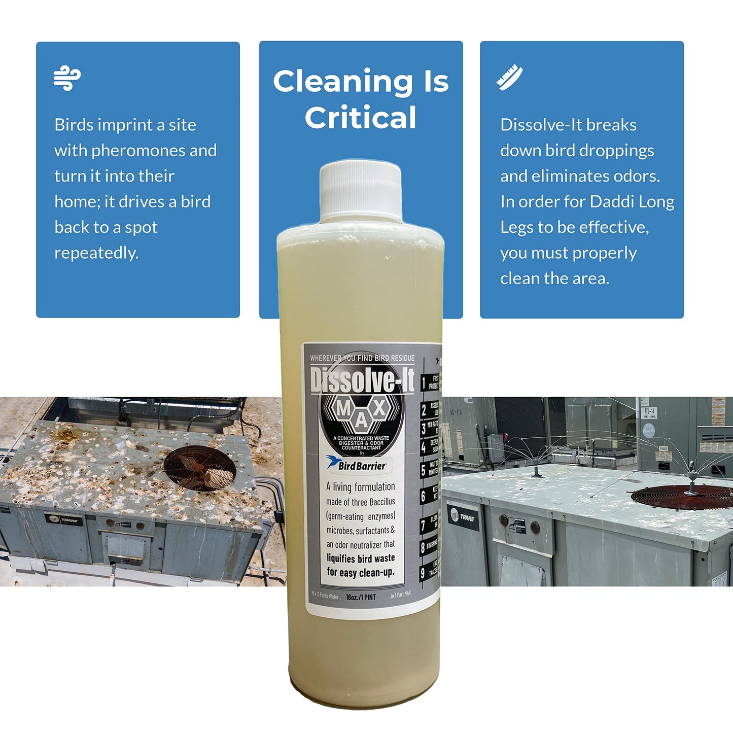 Daddi Long Legs Boaters Bundle - 8-Ft Bird Deterrent + Dissolve-It Enzyme Cleaner + Sandbag Base + Boat Base - Complete Bird Control for Boats, Docks, and Marinas