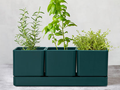 D'vine Dev Herb Garden Planter Set, Plastic Plant Pots with Drainage and Saucer, Indoor Succulent Cactus Vegetable Pot for Windowsill, Garden Balcony, Green, Set of 1, 76-V-C-1