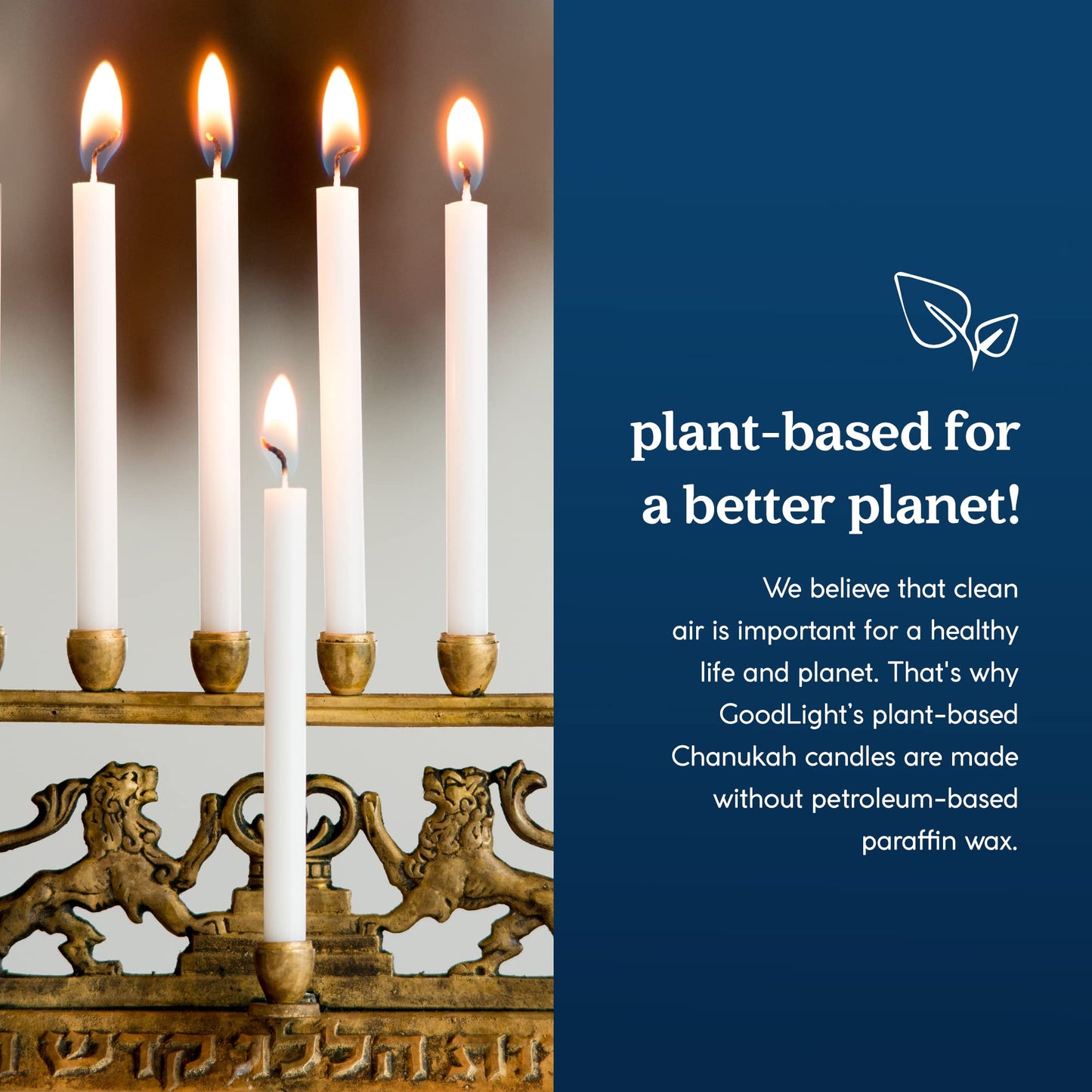 GoodLight Hanukkah (Chanukah) Candles | 45 Minute Burn Time | Dripless Paraffin Free Menorah Candles (45 Count)