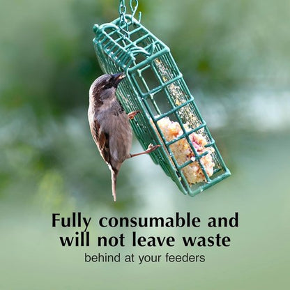 C&S Insect Delight Suet Cakes - No Melt Formula for Wild Birds | 11.75 Ounces, Pack of 8