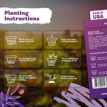 KVITER 550 Purple Coneflower Seeds | Echinacea Purpurea Herb Flower Seeds for Medicinal Gardens - Pollinator-Friendly