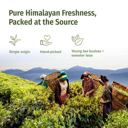 NEPAL TEA Organic Black Tea Bags from the Himalayas - 15 Pyramid Tea Bags, Single Origin from a Family Farm - Black Tea Bags with Loose Leaf Tea Inside (Himalayan Sunrise), 6 Pack
