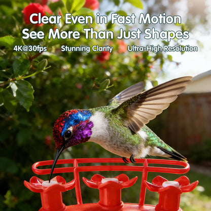 Humbirdy Hummingbird Feeder with Camera, 4K Ultra HD Video at 30fps, 10x Slow-Motion at 120fps,1.9in Closer Focus, No Subscription,Leak Proof, Ant Moat,Solar Powered, 2.4G&5G Wi-Fi,Bird Lover Gift