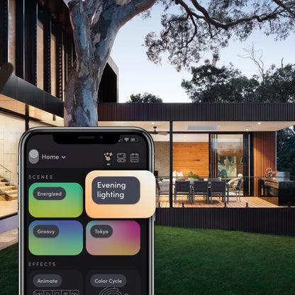 BR30 Smart Light