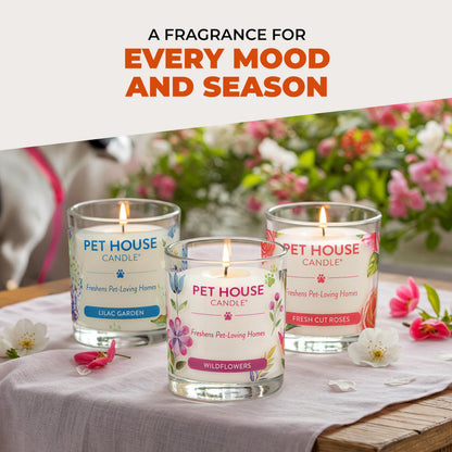 Pet House Pet Odor Candle Plant Based Scented Candle Clean Burning, Long Lasting for Home, Evergreen Forest