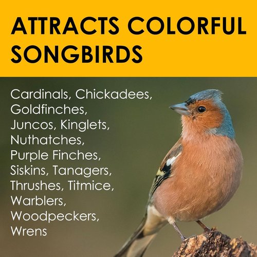Heath Outdoor Products High Energy Suet Cake - All Season, 20 Pack for Wild Birds