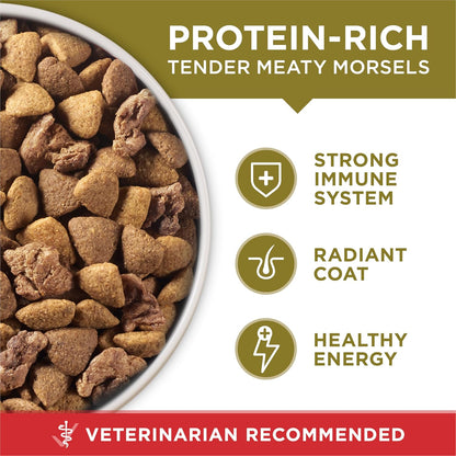 Purina ONE Dry Dog Food - Lamb & Rice Formula for Healthy Skin & Coat | 31.1 lb Bag