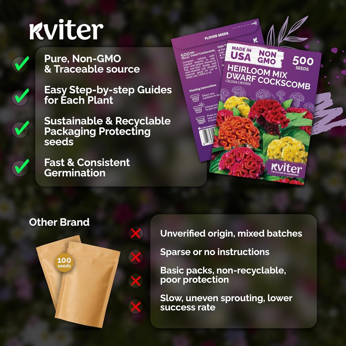 KVITER 500 Dwarf Mix Cockscomb Seeds - Heirloom Celosia Argentea for Vibrant Garden Blooms
