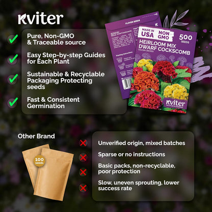 KVITER 500 Dwarf Mix Cockscomb Seeds - Heirloom Celosia Argentea for Vibrant Garden Blooms