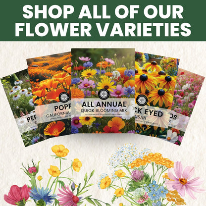 All Annual Quick Blooming Mix - 16,000 Wildflower Seeds for Planting - Large 1 Ounce Packet